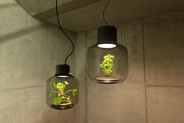 將植物放在一款密閉的LED燈具中能持續(xù)生長嗎？